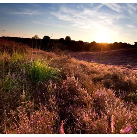 Veluwe Vallei 16-person * Voorthuizen