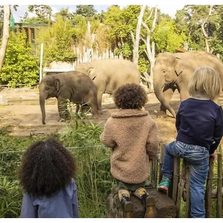 Veluwe Vallei 16-person فورتهاوزن