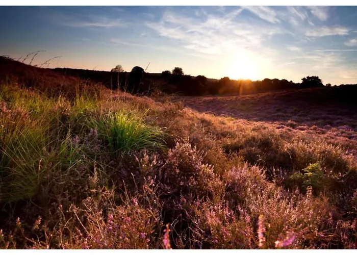 Veluwe Vallei 16-person * Voorthuizen