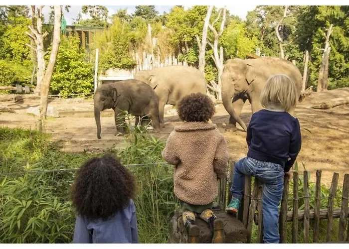 Veluwe Vallei 16-person Voorthuizen